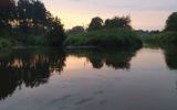 Zdjęcie komentarza