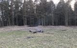 Zdjęcie komentarza