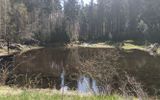 Zdjęcie komentarza