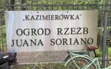 Zdjęcie komentarza
