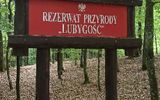 Zdjęcie komentarza