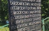 Zdjęcie komentarza
