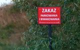 Zdjęcie komentarza