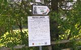 Zdjęcie komentarza
