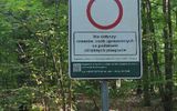 Zdjęcie komentarza