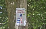 Zdjęcie komentarza