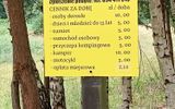 Zdjęcie komentarza