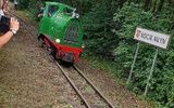 Zdjęcie komentarza