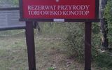 Zdjęcie komentarza