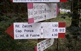 Zdjęcie komentarza
