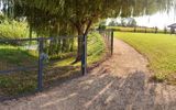 Zdjęcie komentarza