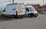 Zdjęcie komentarza
