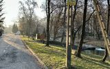 Zdjęcie komentarza