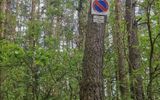 Zdjęcie komentarza