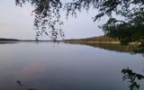 Zdjęcie komentarza