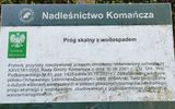 Zdjęcie komentarza