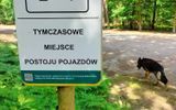 Zdjęcie komentarza