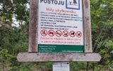 Zdjęcie komentarza