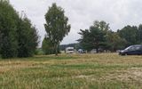 Zdjęcie komentarza