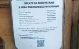 Zdjęcie komentarza