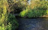 Zdjęcie komentarza