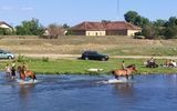 Zdjęcie komentarza