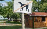 Zdjęcie komentarza