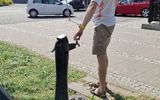Zdjęcie komentarza