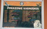 Zdjęcie komentarza