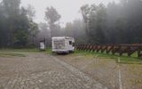 Zdjęcie komentarza