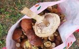 Zdjęcie komentarza