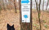 Zdjęcie komentarza