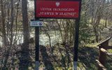 Zdjęcie komentarza