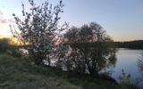 Zdjęcie komentarza