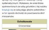 Zdjęcie komentarza