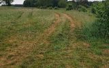 Zdjęcie komentarza