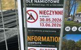 Zdjęcie komentarza