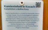 Zdjęcie komentarza