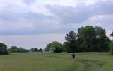 Zdjęcie komentarza