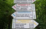 Zdjęcie komentarza