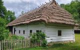 Zdjęcie komentarza