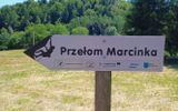 Zdjęcie komentarza