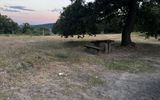 Zdjęcie komentarza