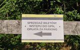 Zdjęcie komentarza