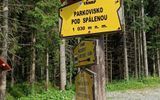 Zdjęcie komentarza