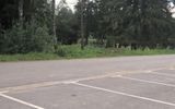 Zdjęcie komentarza