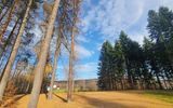 Zdjęcie komentarza