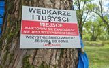 Zdjęcie komentarza
