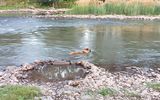 Zdjęcie komentarza