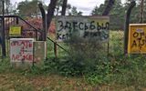 Zdjęcie komentarza